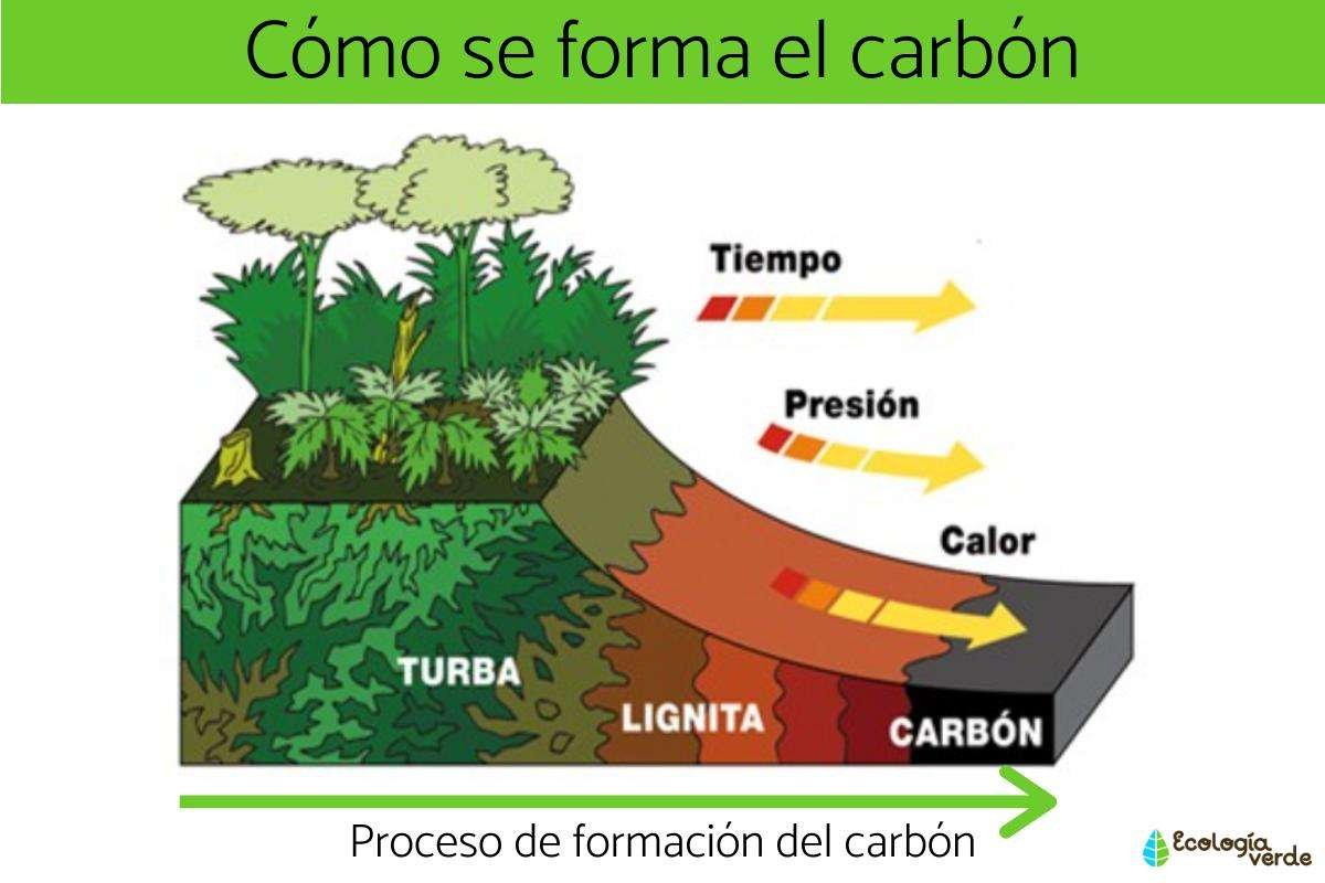 Importancia histórica y energética del carbón mineral: curiosidades