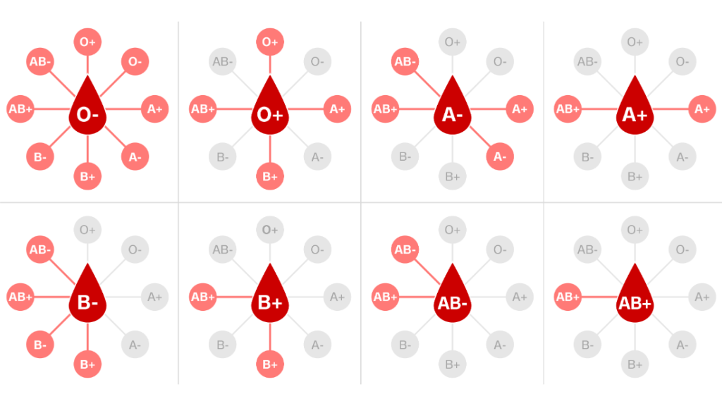 Descubre las sorprendentes curiosidades sobre el tipo de sangre 0