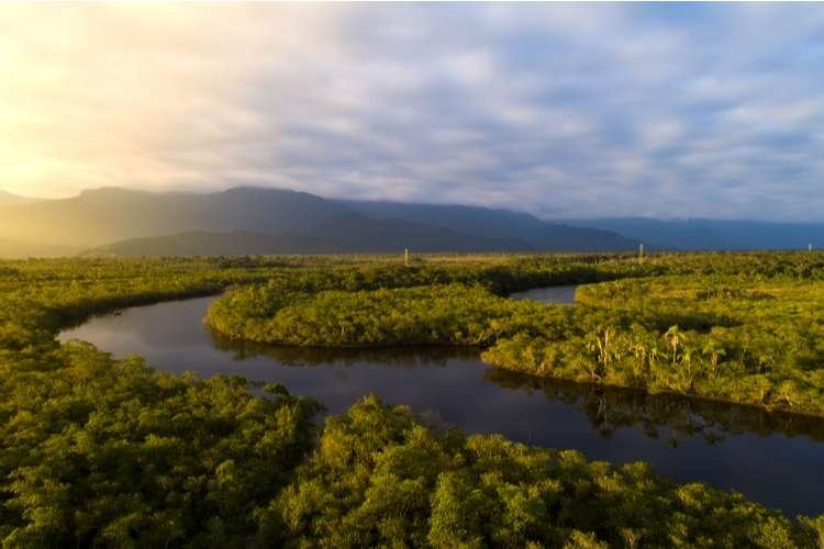 Curiosidades fascinantes de la selva amazónica con Happy Learning