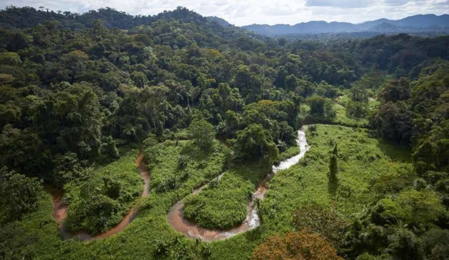 Curiosidades del rodaje de El Libro de la Selva en acción real