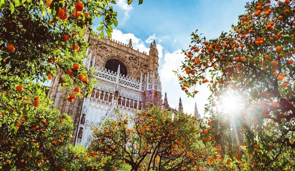 Curiosidades del patio de los naranjos de Sevilla