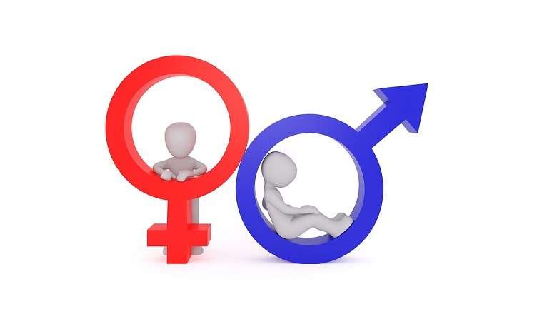 Curiosidades de los caracteres sexuales en hombres y mujeres