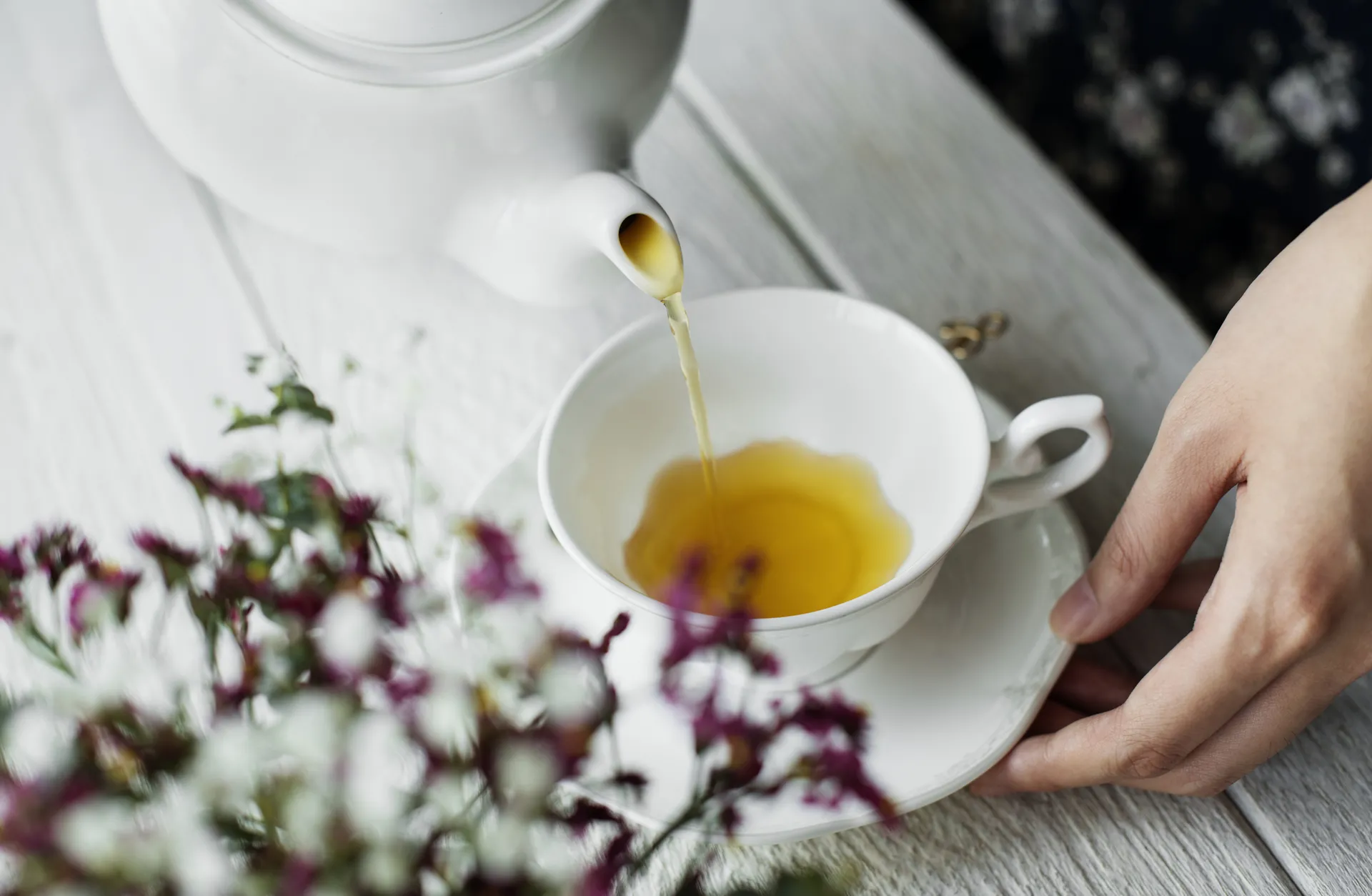 El té: una historia llena de curiosidades y secretos milenarios