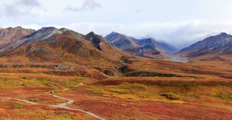 Características de la fauna, flora y clima de la tundra