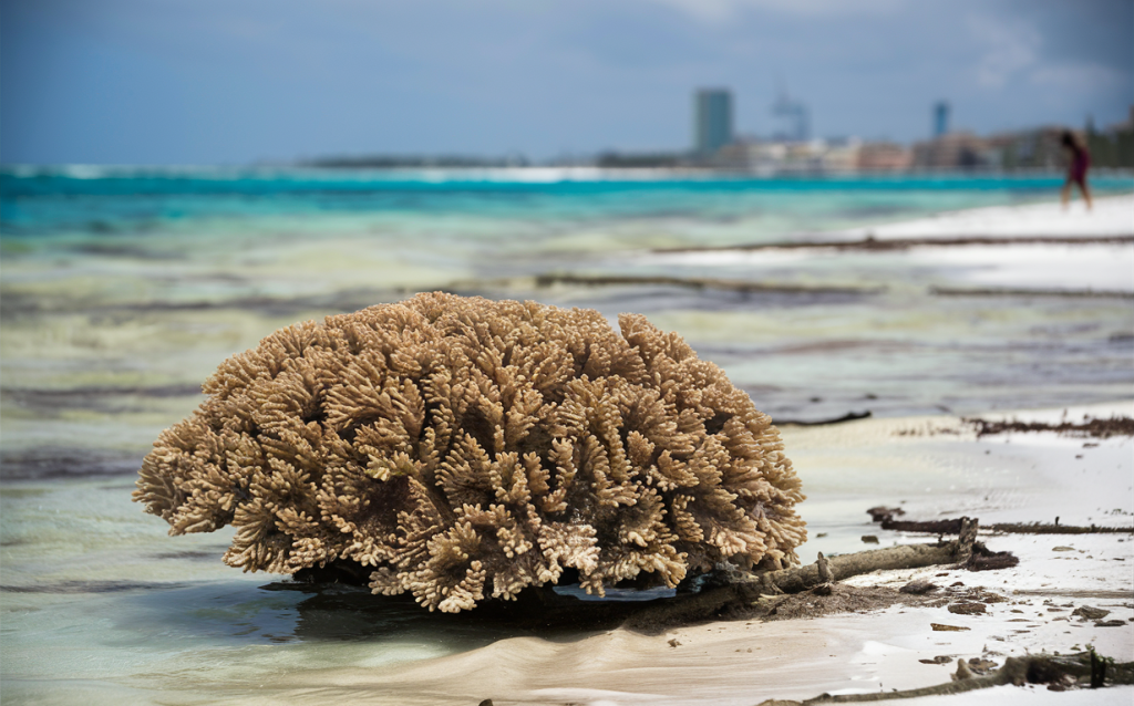 Efectos del cambio climático en el clima oceánico
