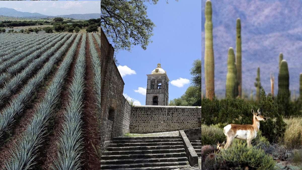 Curiosidades sorprendentes del verano en el patrimonio cultural